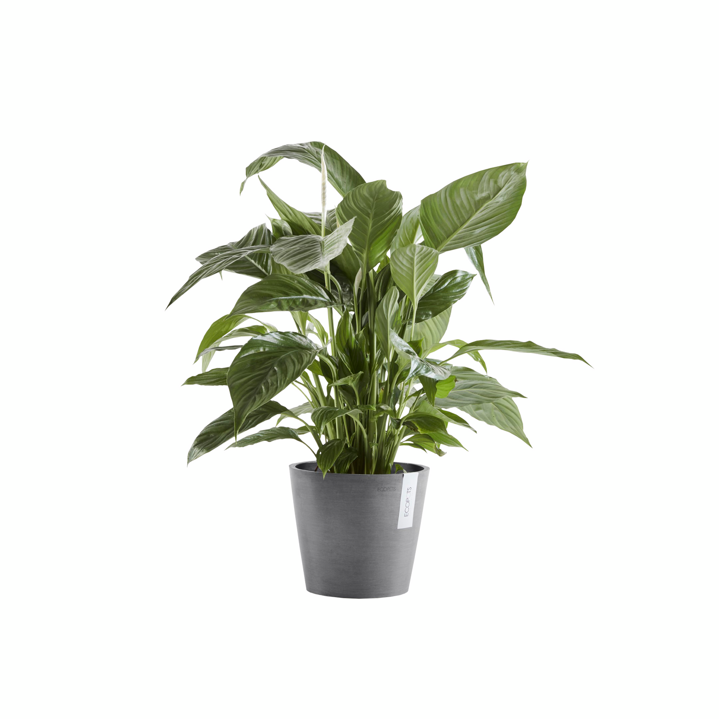 Ruukku Ecopots Amsterdam 25cm harmaa